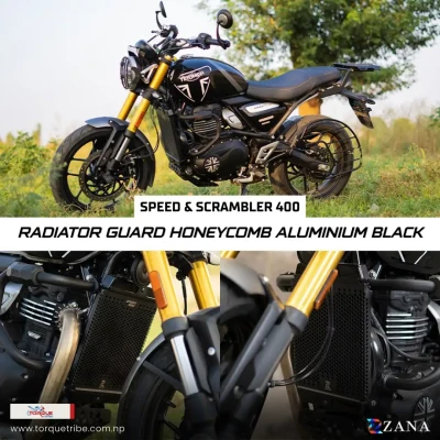 Radiator Guard Honeycomb Black ...