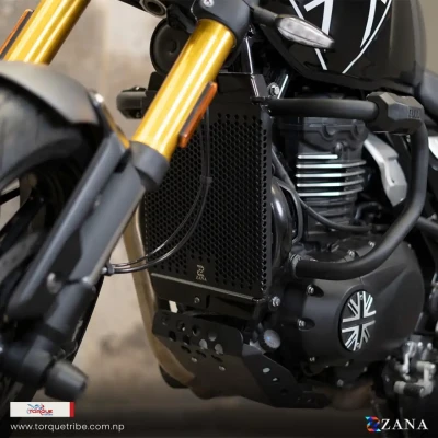 Radiator Guard Honeycomb Black ...