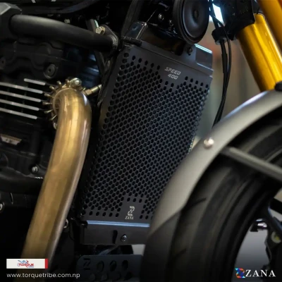 Radiator Guard Honeycomb Black ...