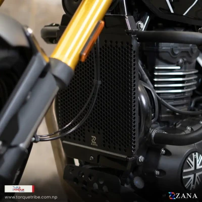 Radiator Guard Honeycomb Black ...