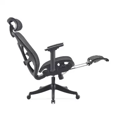 Product image of Aris Ergonomic Chair (YS-938)