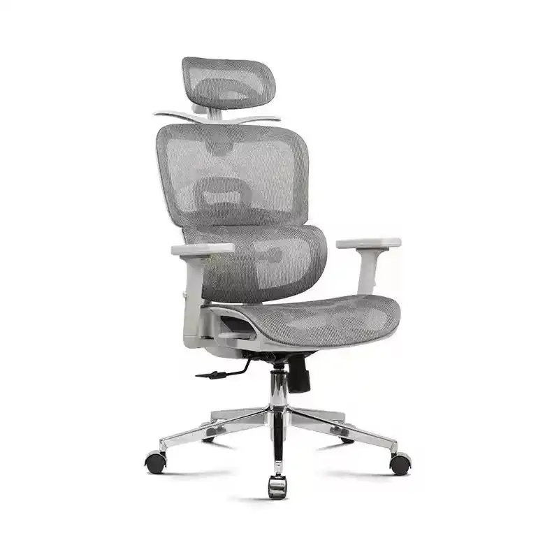 Product image of Mini Montana Ergonomic Chair  (627)