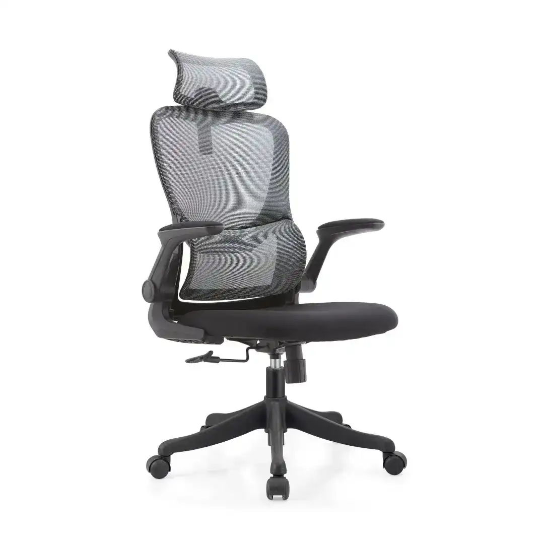 Product image of Wanda Ergonomic Mesh Chair (2401)