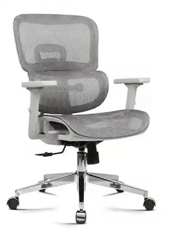 Product image of Mini Montana Ergonomic Chair  (627)