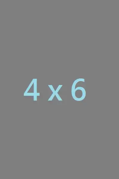 Product image of 4/6 PHOTO