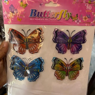 Butterfly