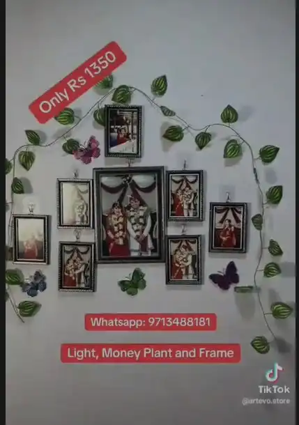 Product image of Combo set  light moneyplant and frame  a4 on e