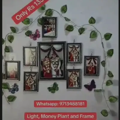 Combo set  light moneyplant and...