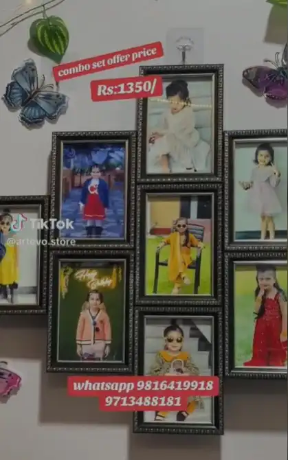 Product image of Attached Photo Frame   1350 money plant, light ,butterfly
