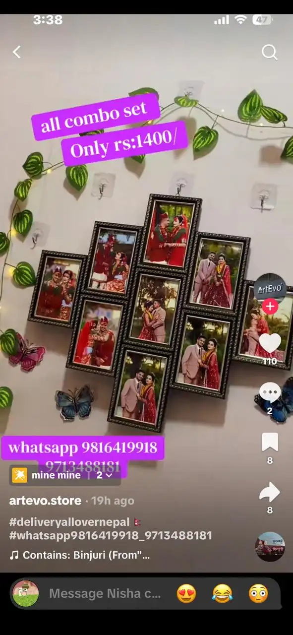 Product image of 9 pics attached photo farme money plant butterfly light