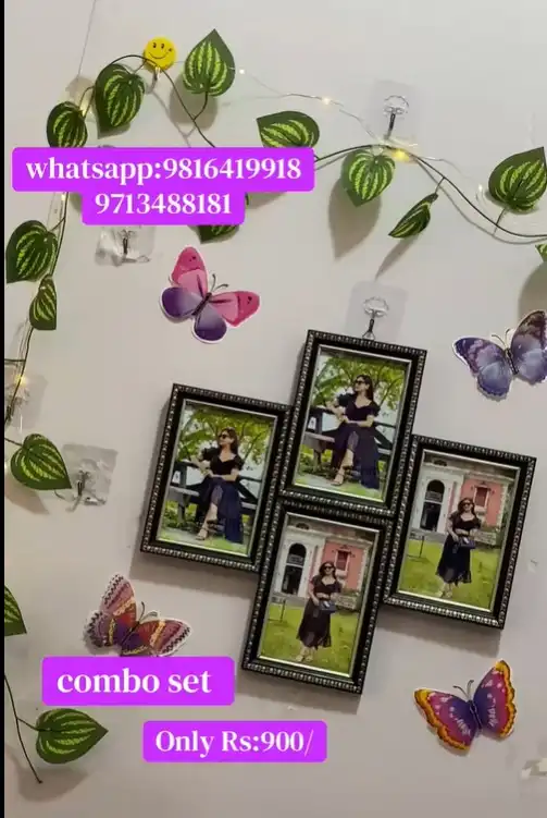 Product image of 4 pcs attached frame plus money plant , light , butterfly