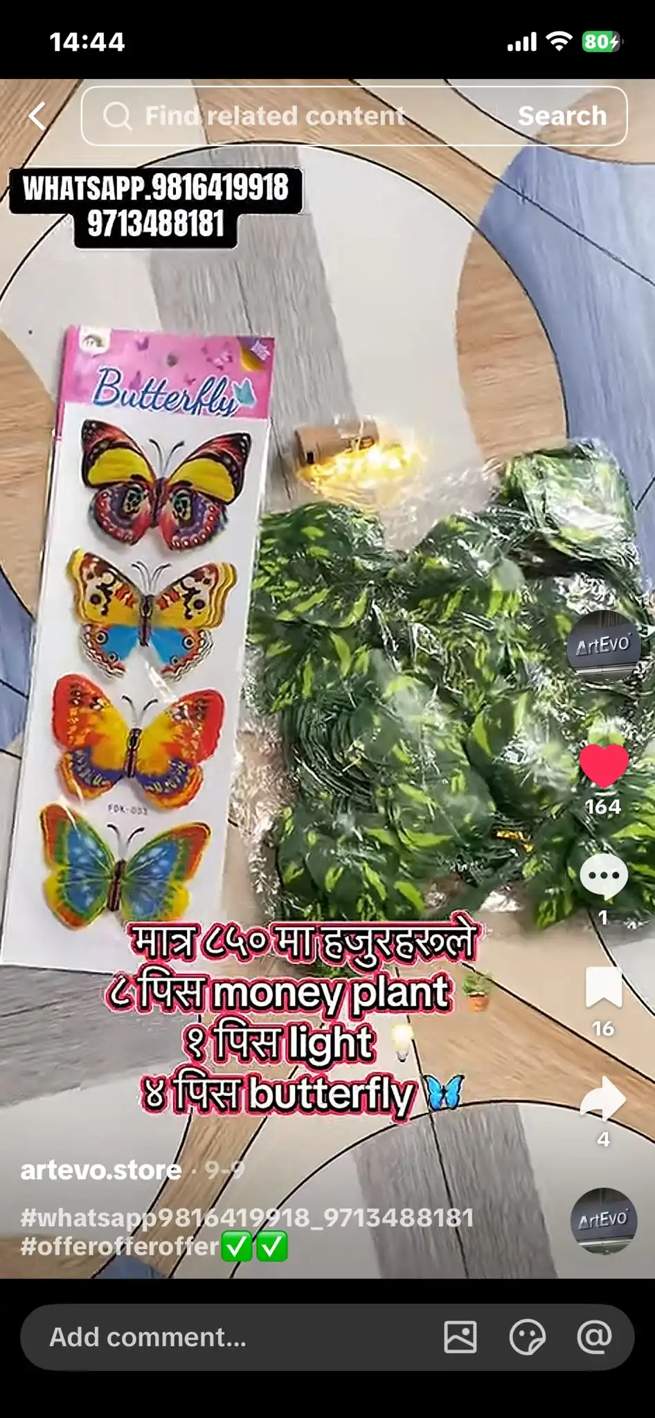 Product image of combo set 8 pics money plant , butterfly 4 pics , 1 pics light