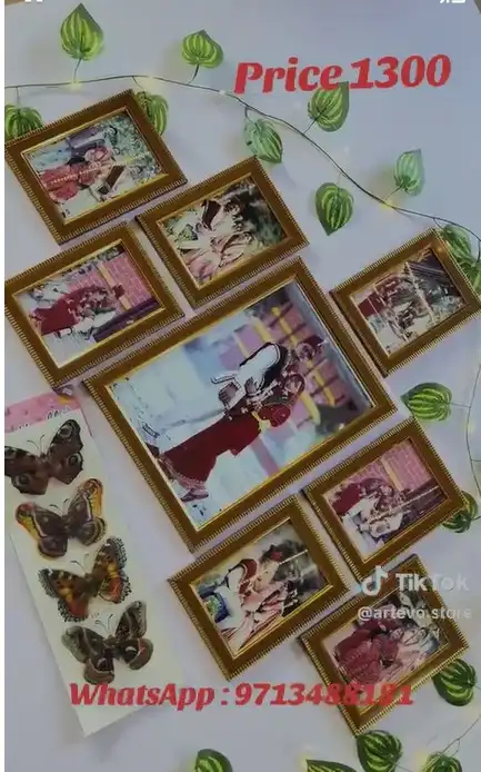 Product image of 8 Pics Combo set New  Money plant , light , butterfly