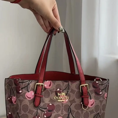Coach Mollie Tote