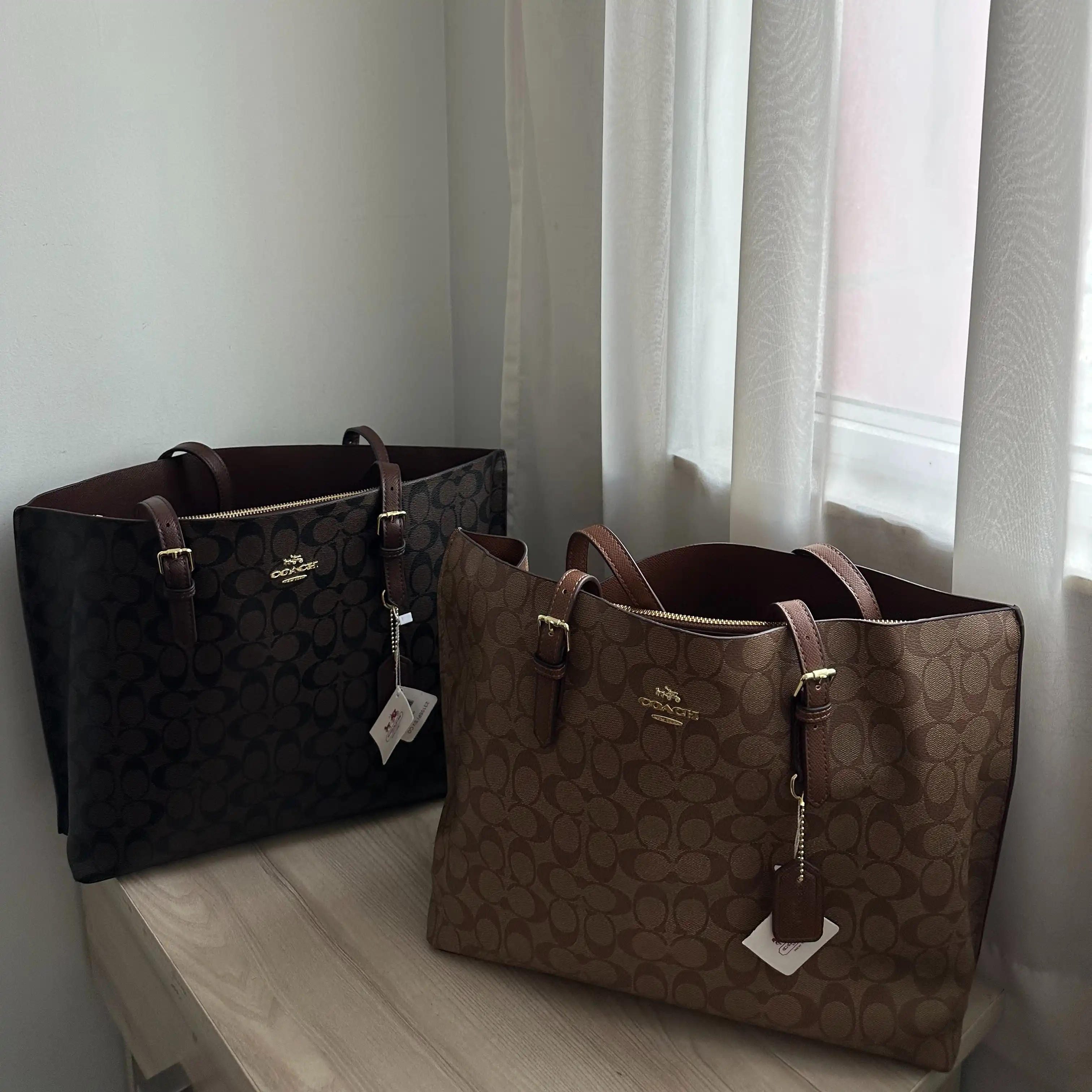 Product image of Coach Mollie Tote