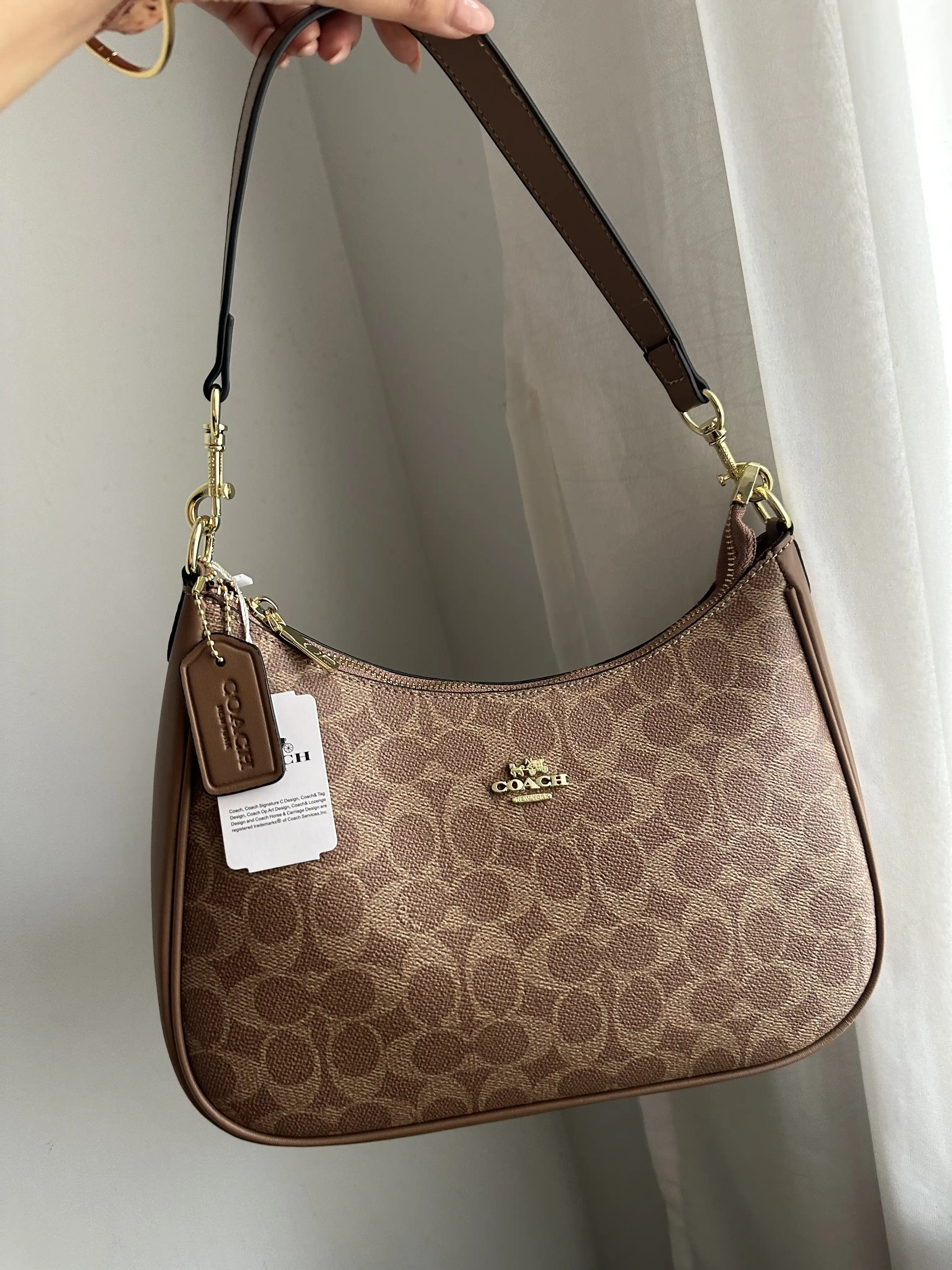 Product image of Coach Moon Bag