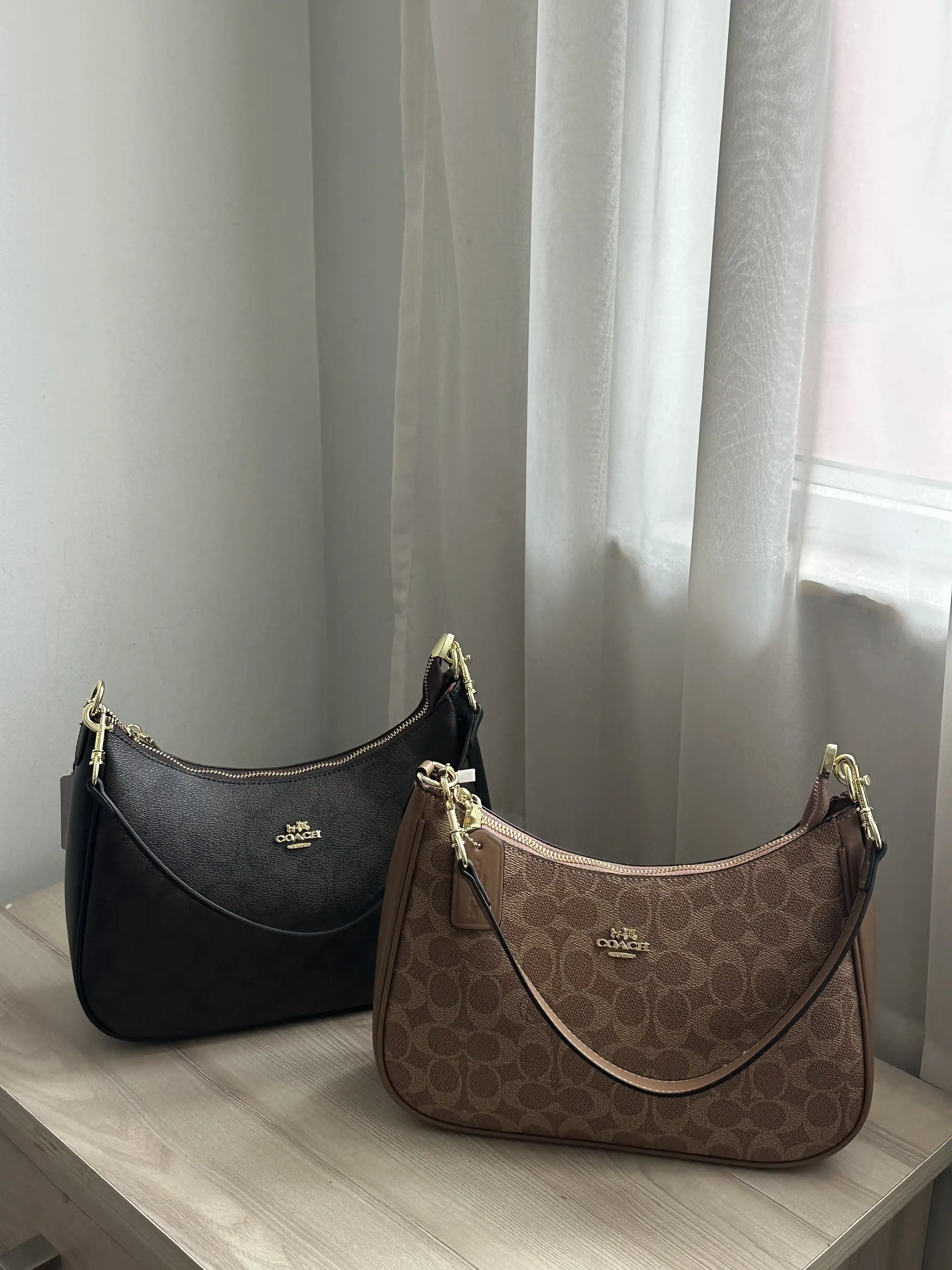 Product image of Coach Moon Bag