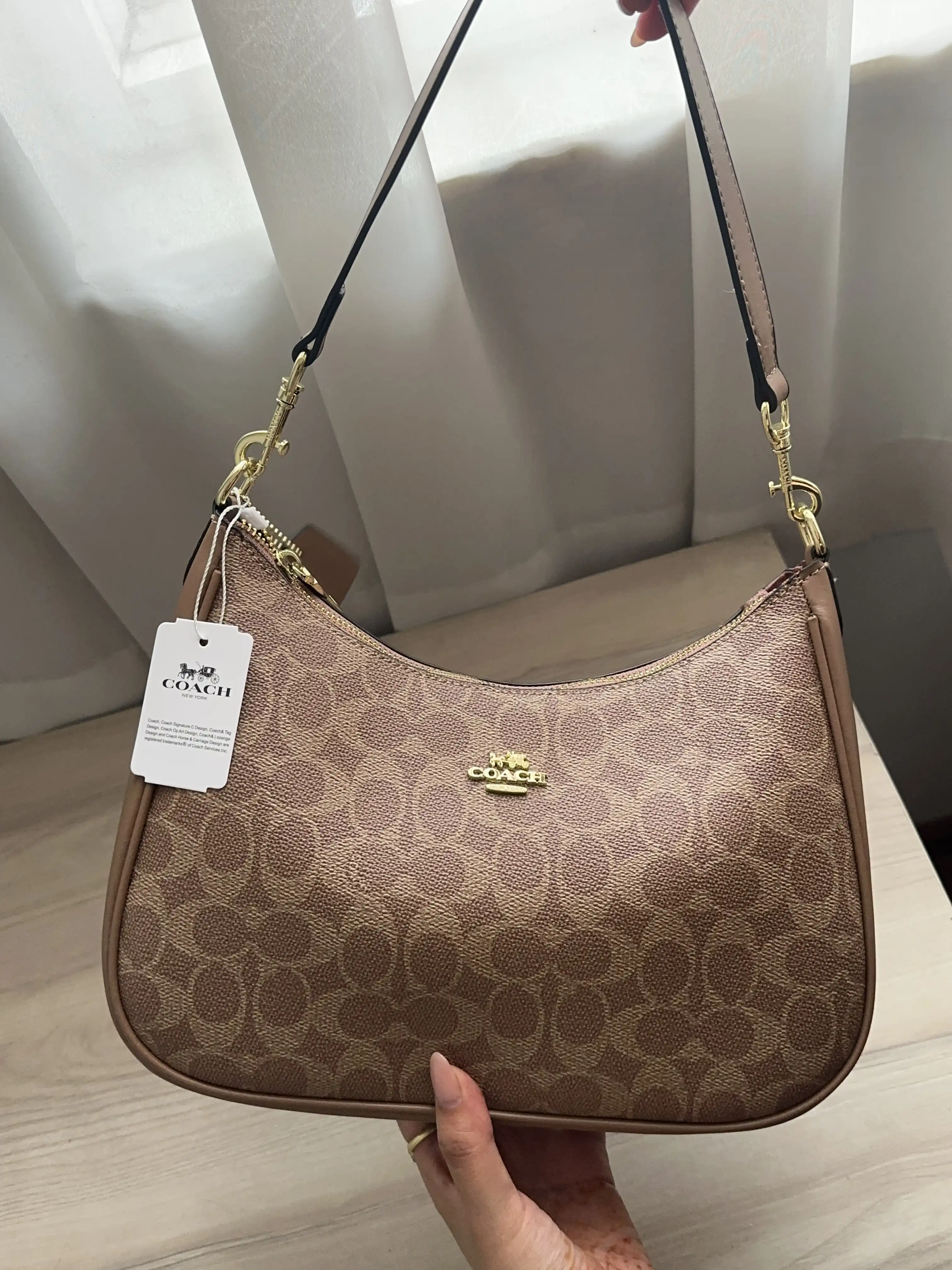 Product image of Coach Moon Bag