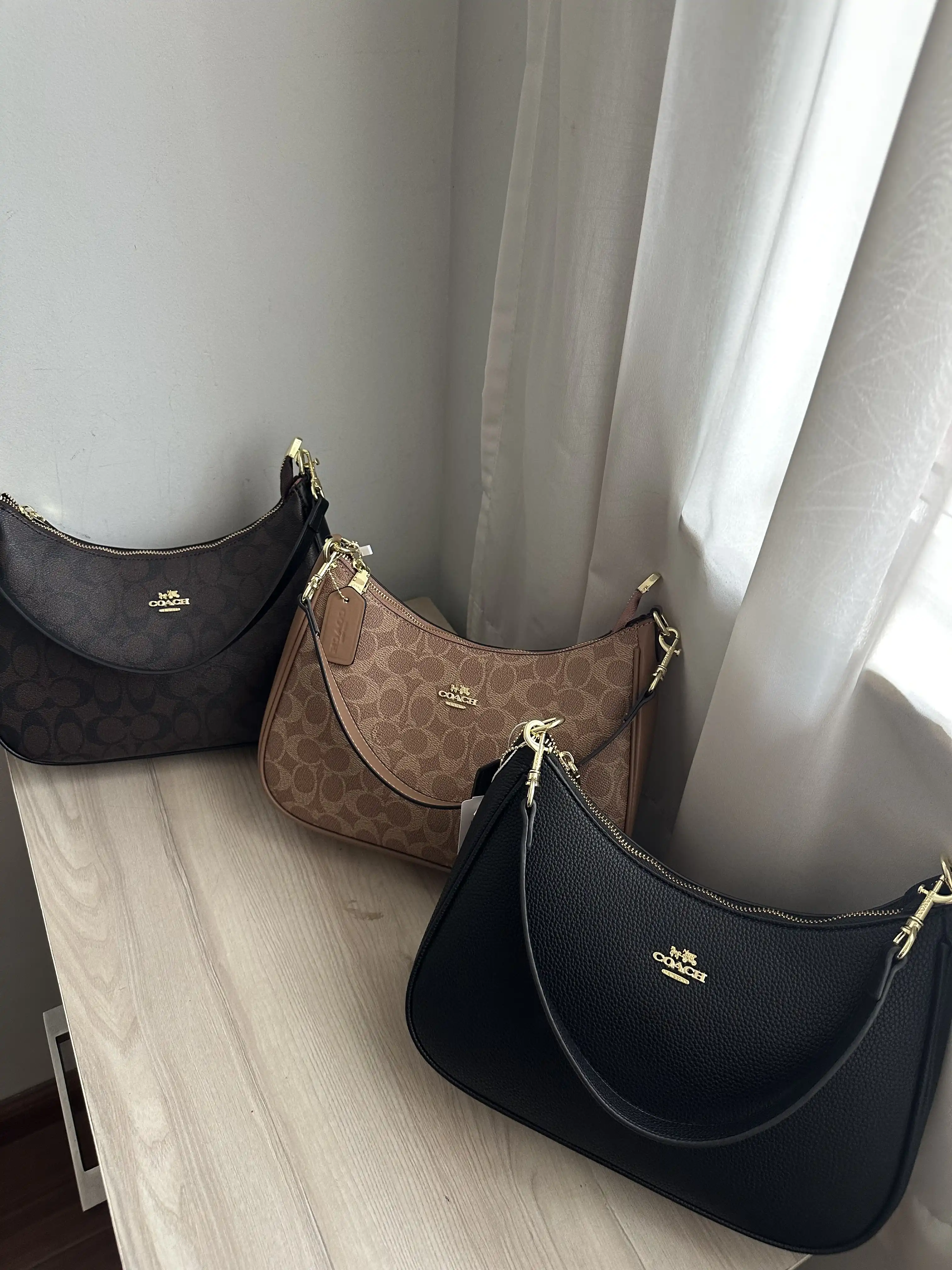 Product image of Coach Moon Bag