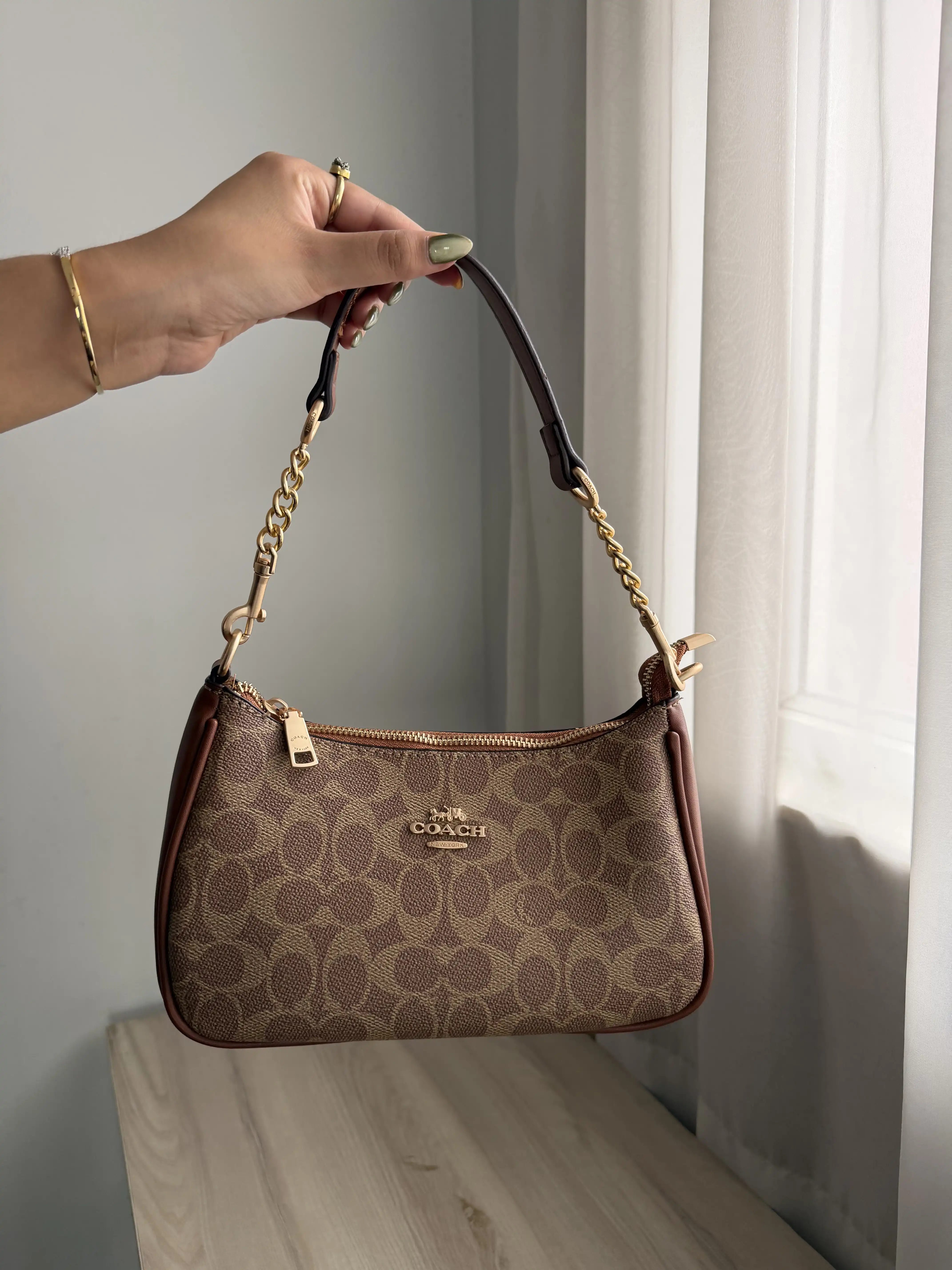 Product image of Coach Teri Bag
