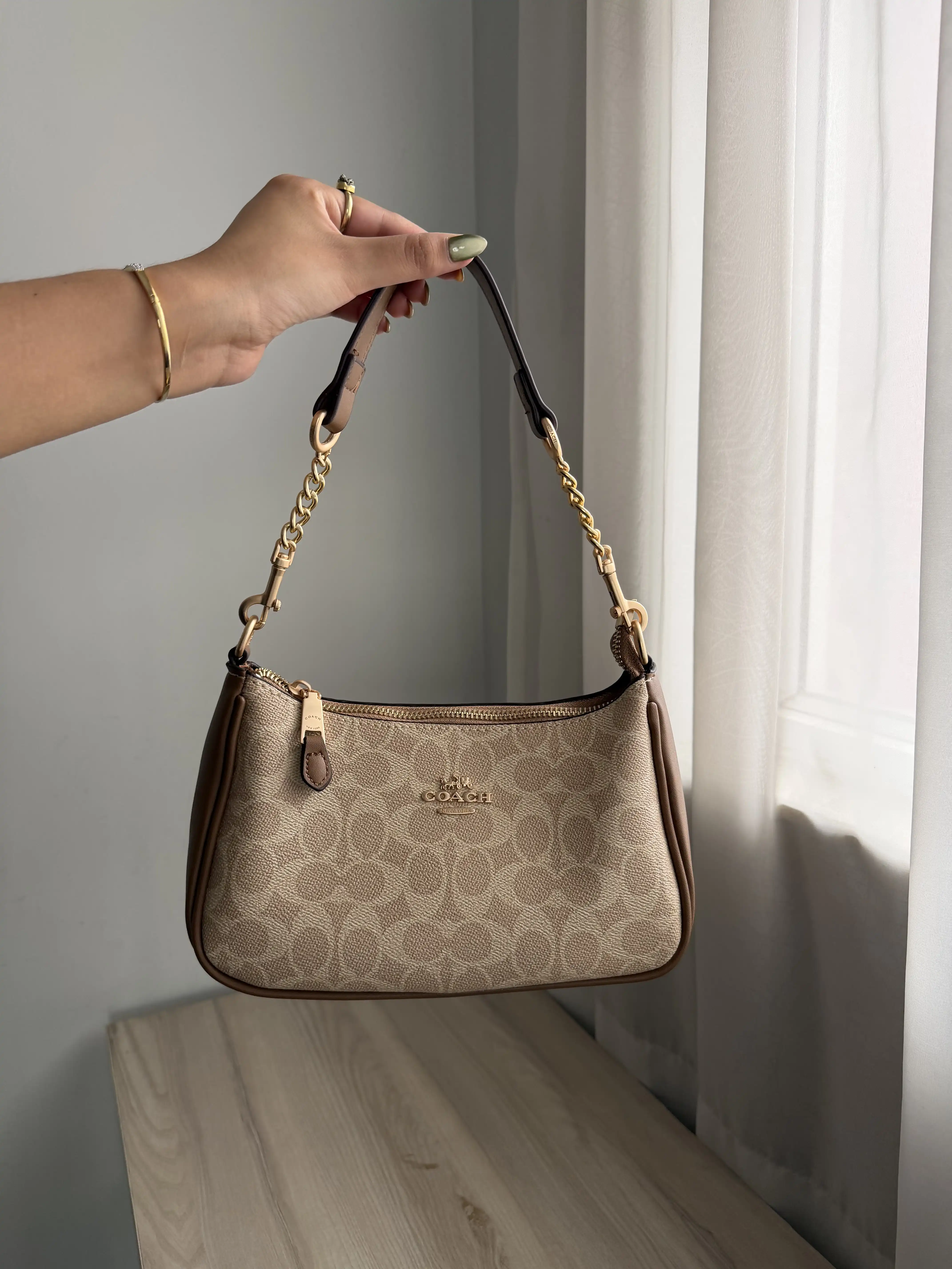 Product image of Coach Teri Bag