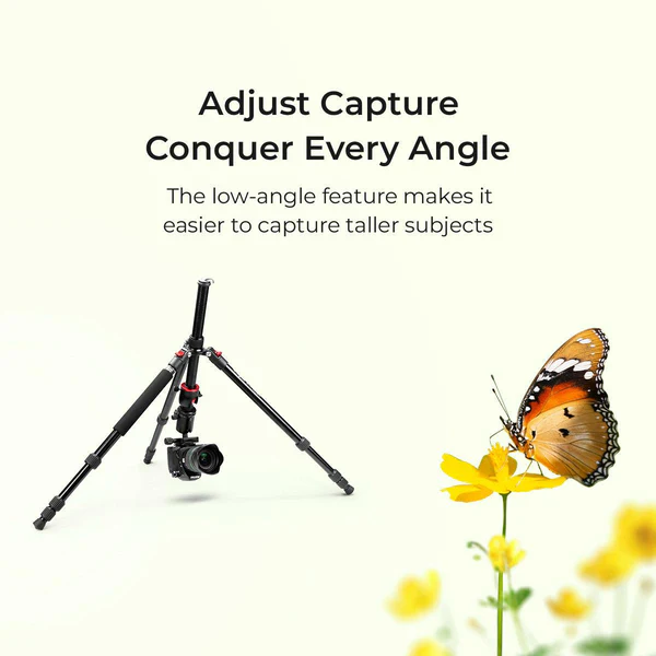 Product image of DIGITEK® (DTR 520 BH) 152CM Foldable Aluminum Tripod Cum Monopod