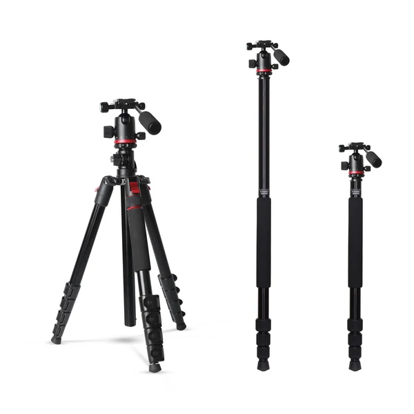 Product image of Digitek (DTR 530 BH) Multi-Angle DV Tripod cum Monopod with Ball Head, Quick Release, 5-Section Legs, 5kg Load, 5.44ft Max Height, Ideal for Macro, Panning & Low Angle Photo & Videography