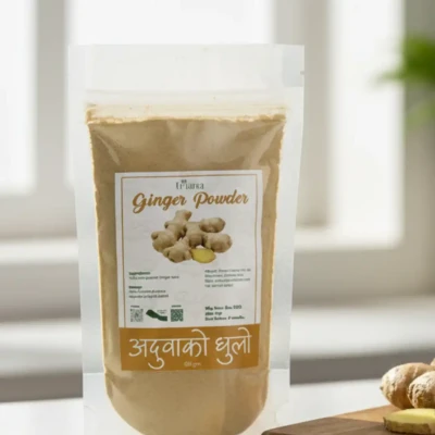Ginger Powder (60gm)