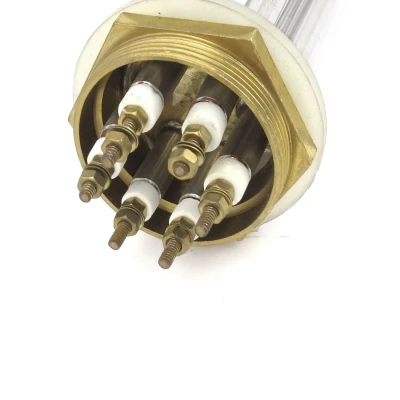 High-Performance 6KW Industrial Immersion Heating Tube (Rod) for Nepal