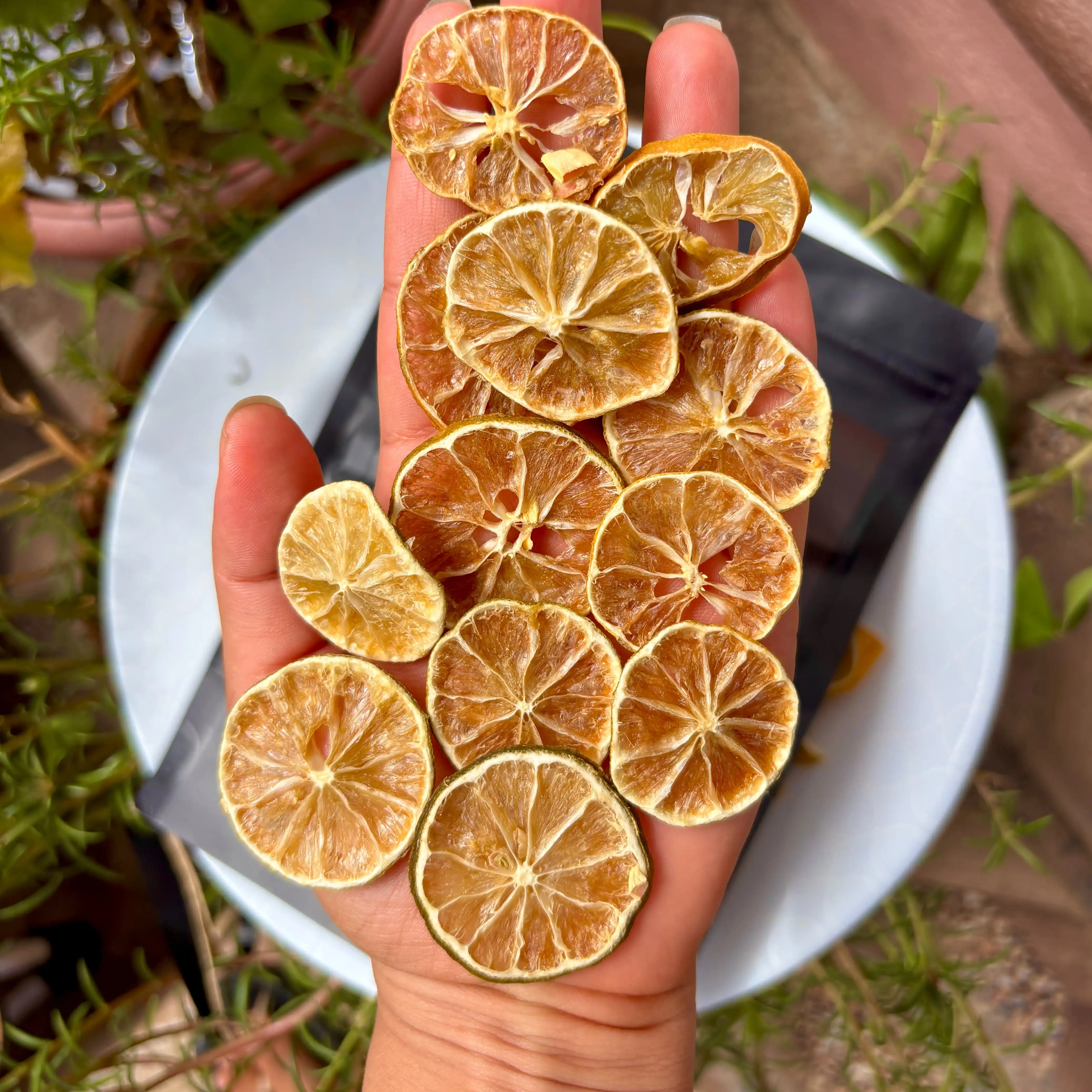 Product image of Dried Lemon 100 Gram