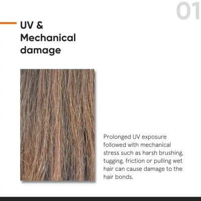 Minimalist  Maleic Bond Repair ...