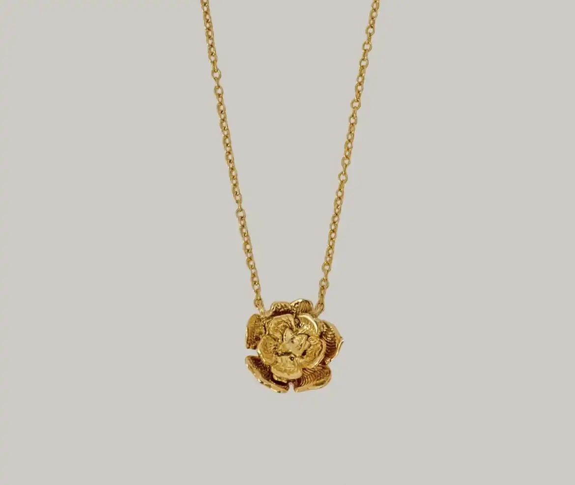 Product image of Evergreen