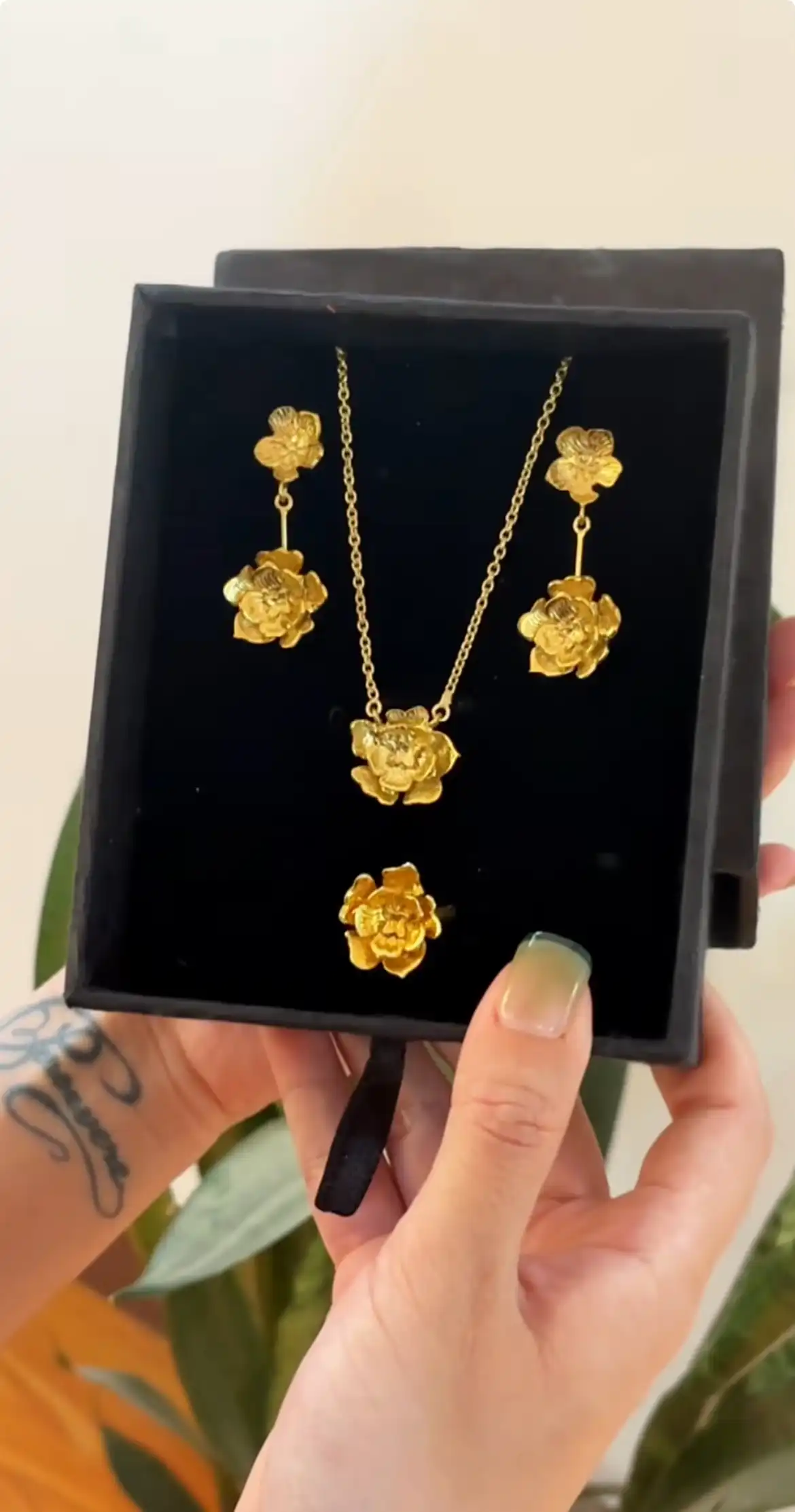 Product image of Evergreen