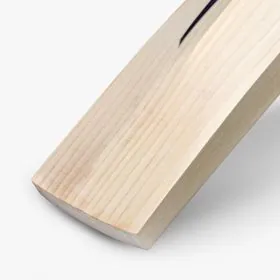 Product image of DSC E/W Cricket Bat RS 060