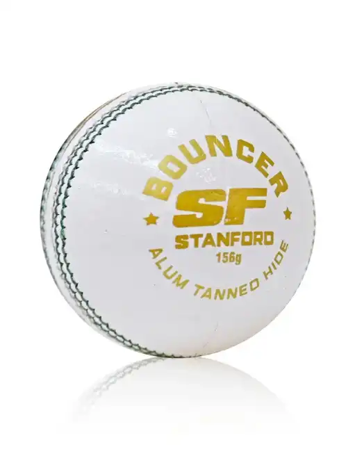 Product image of SF BOUNCER Leather Ball