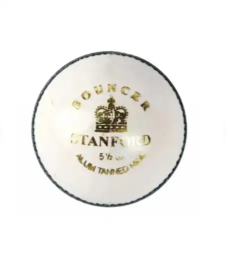 Product image of SF BOUNCER Leather Ball