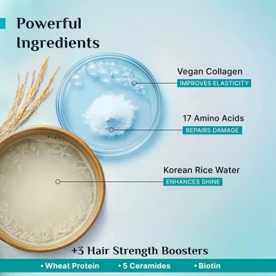Pilgrim Conditioner | Korean Ri...