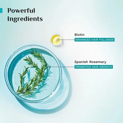 Pilgrim | Spanish Rosemary & Bi...