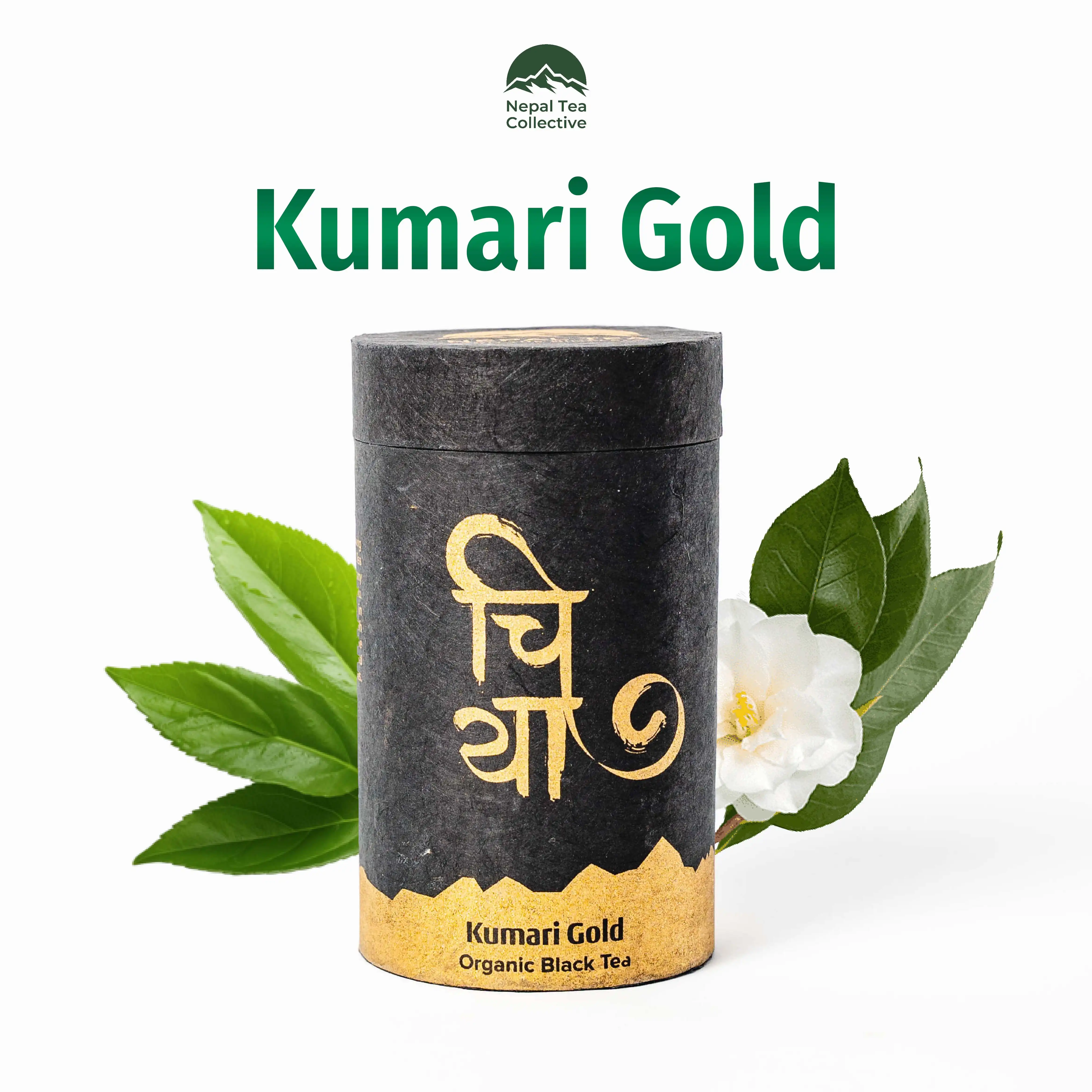 Product image of Kumari Gold
