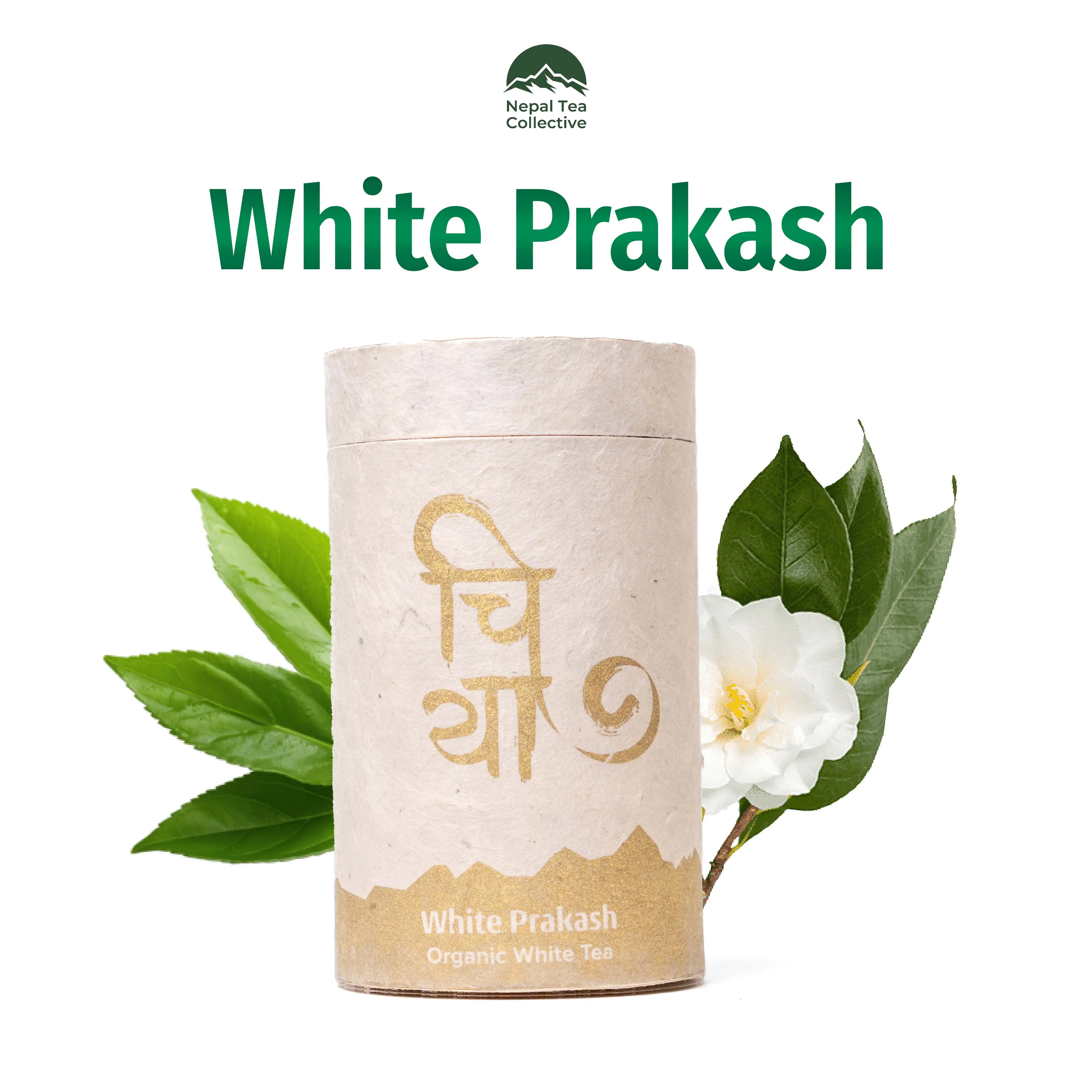 Product image of White Prakash