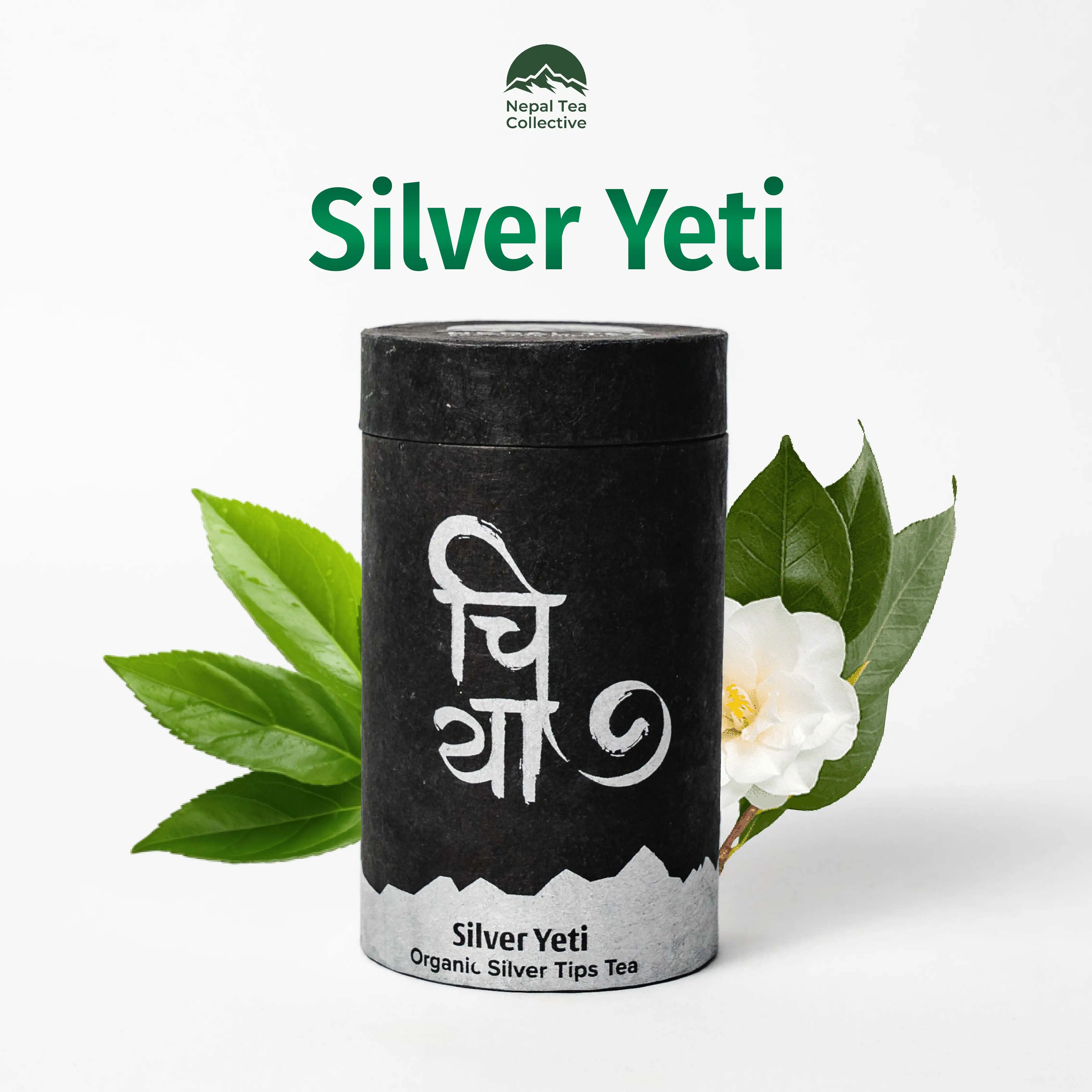 Product image of Silver Yeti