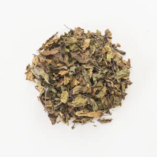 Product image of Tulsi Tea