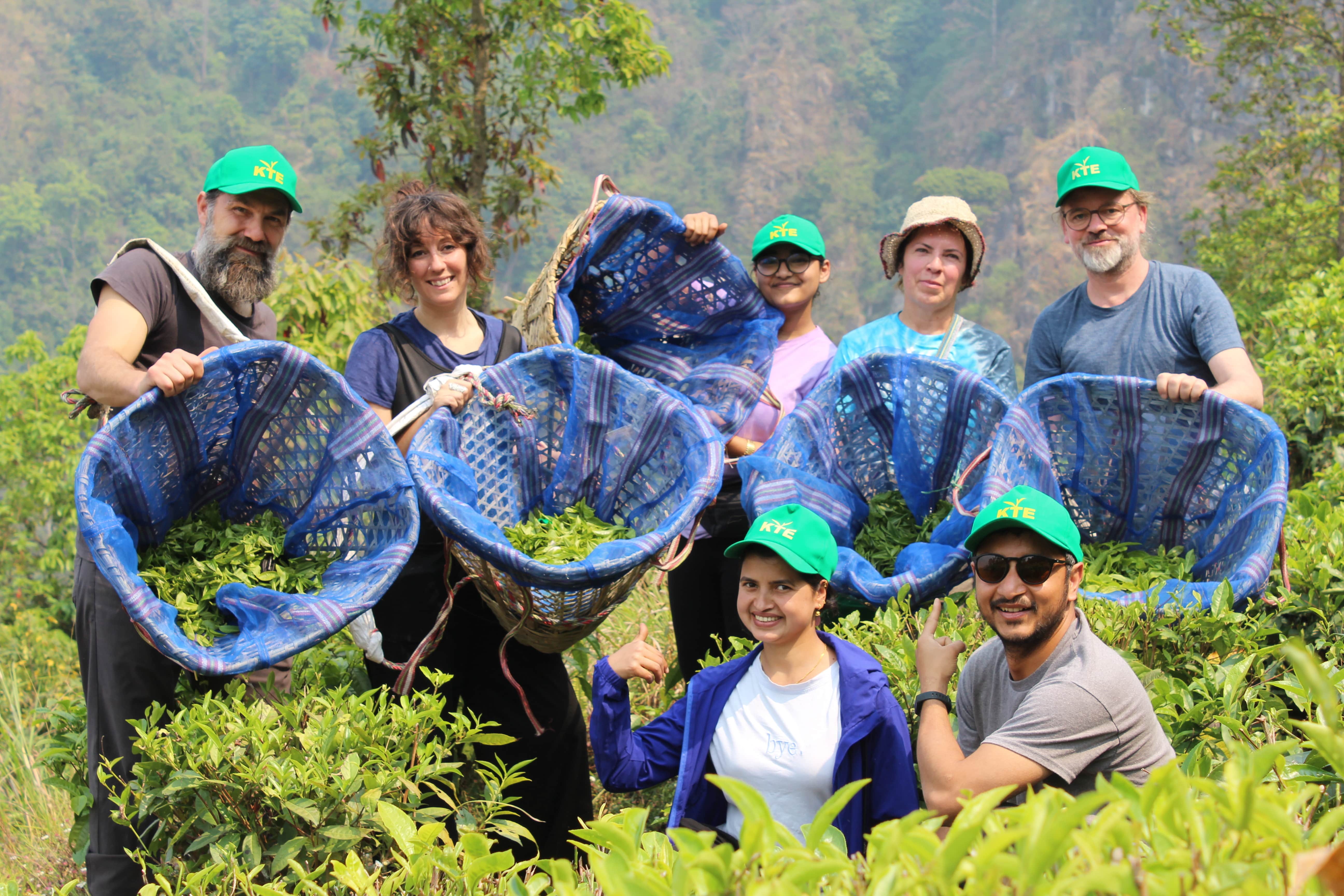 Tea Garden