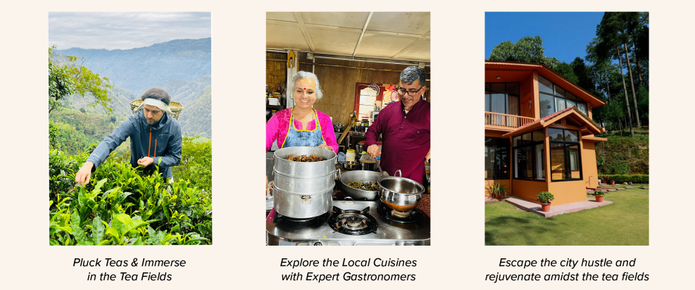 Tea Tourism