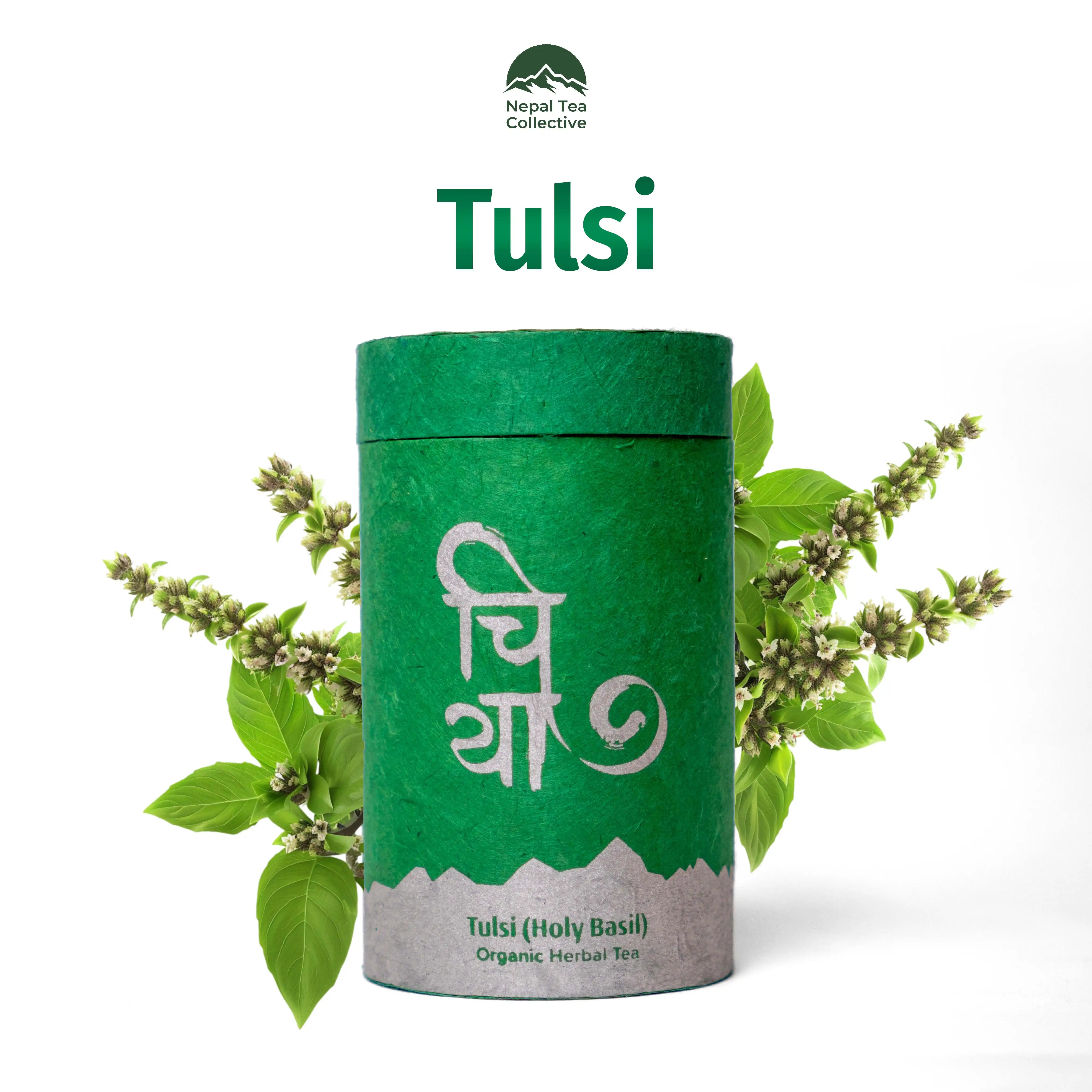 Product image of Tulsi Tea