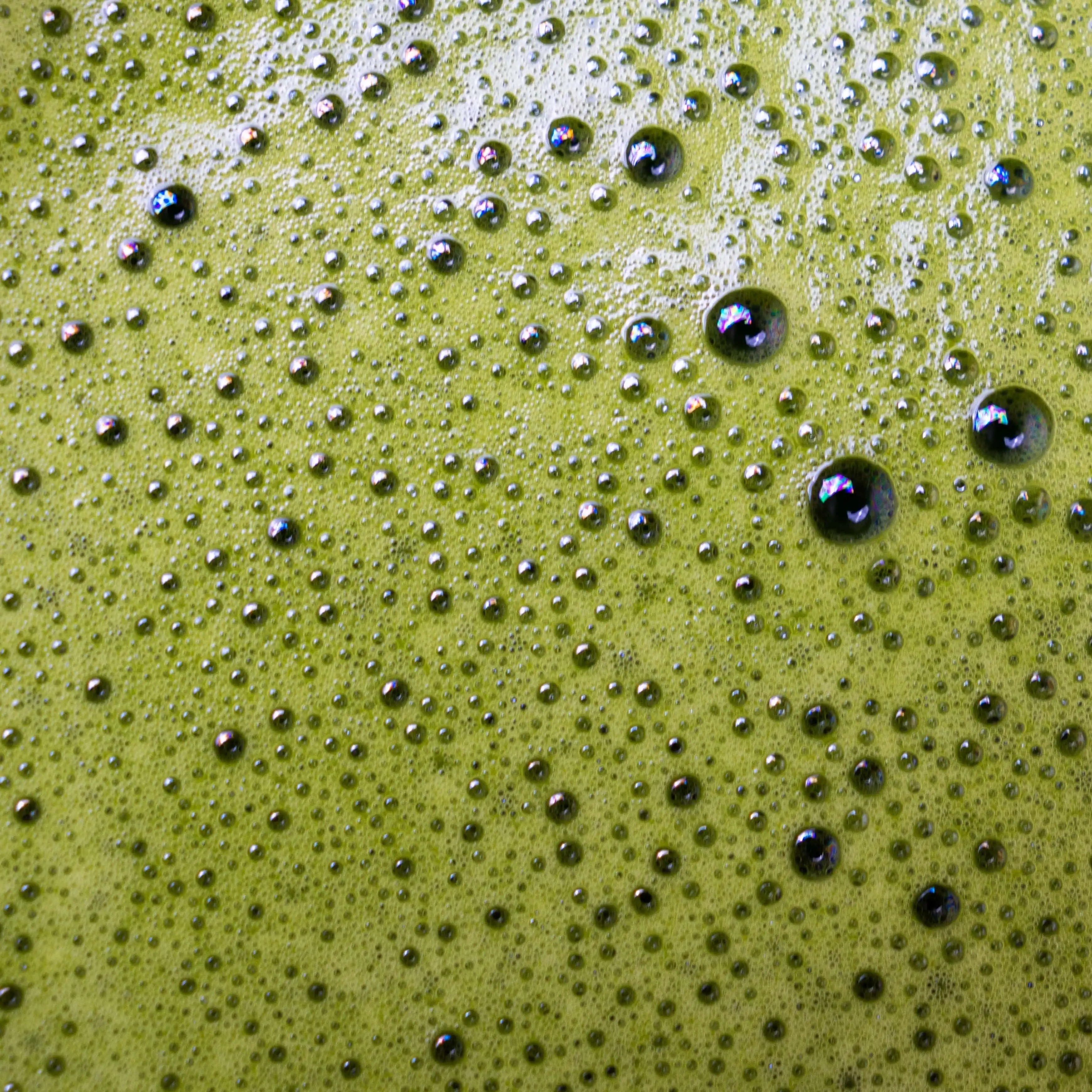 Product image of Culinary Grade Matcha