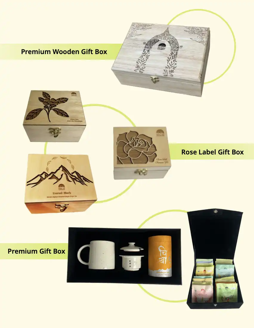 Gift 6