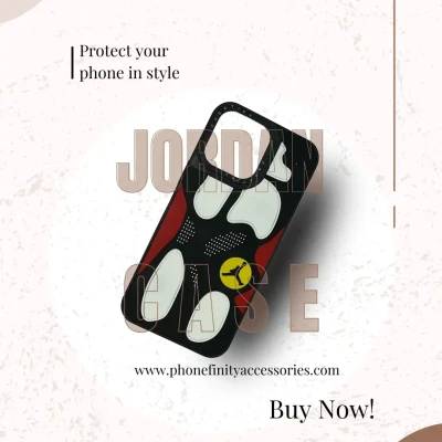 Jordan Shoe Case