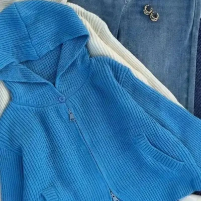 WOOLEN HOODIED ZIPUP CROP