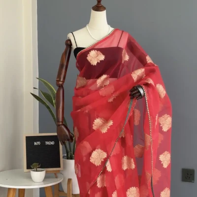 E26 BROCADE NET SAREE